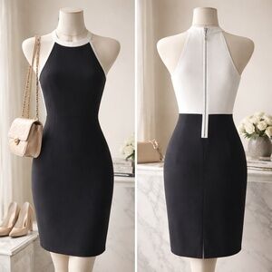 Banana Republic dress 8 black/white knee length zip sleeveless guest luxury chic